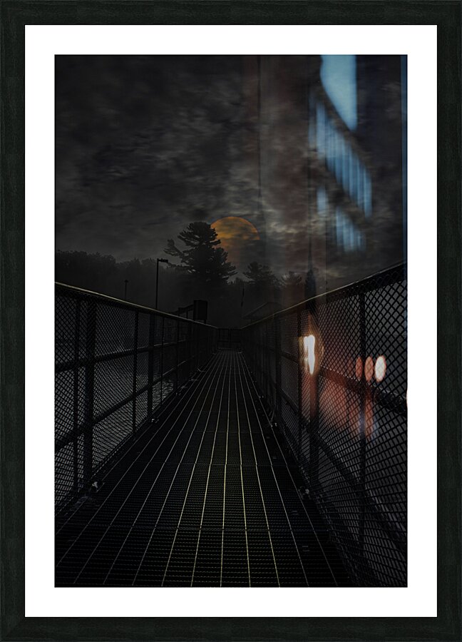 JBS 3041  Picture Frame print