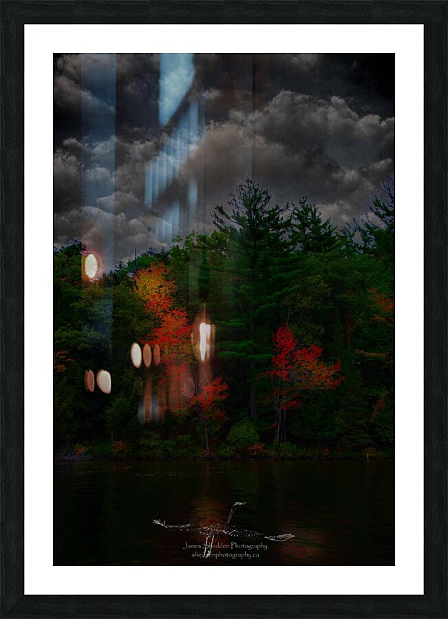 JBS 4749  Picture Frame print