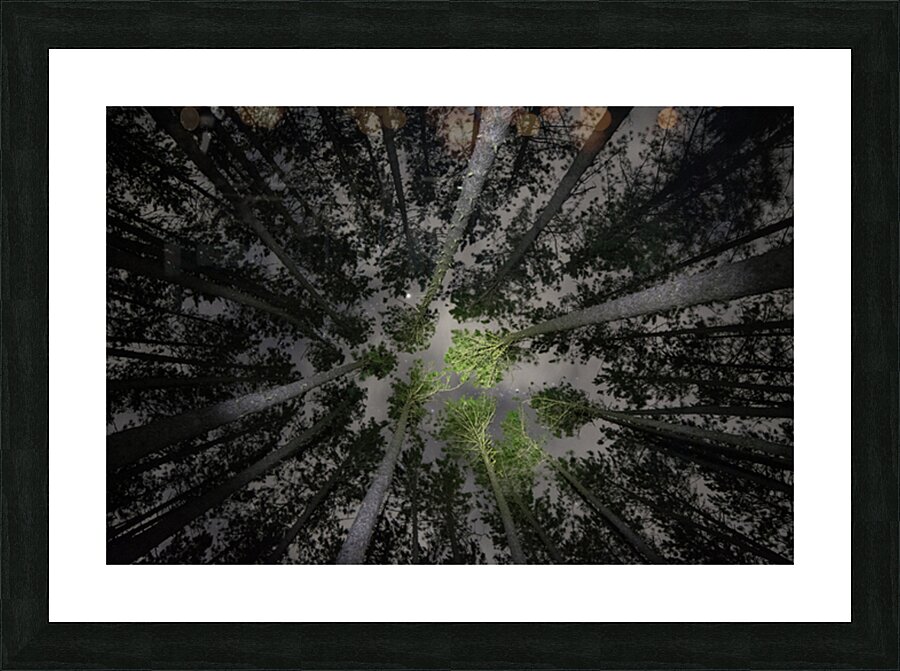 JBS 5553  Impression et Cadre photo