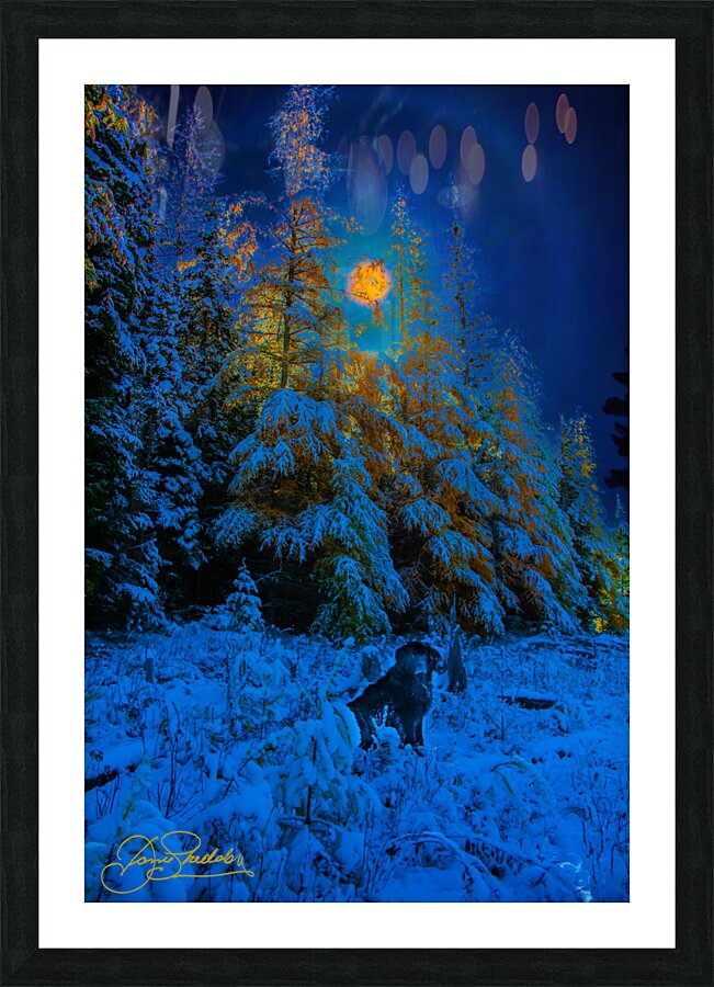 JBS 4968  Impression et Cadre photo