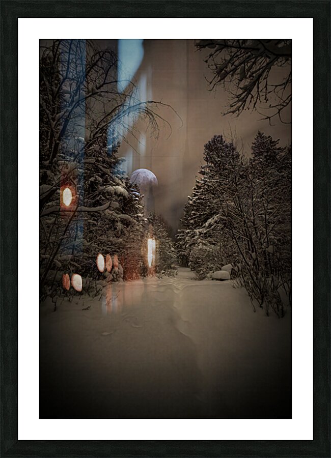 Z62 0235 Picture Frame print