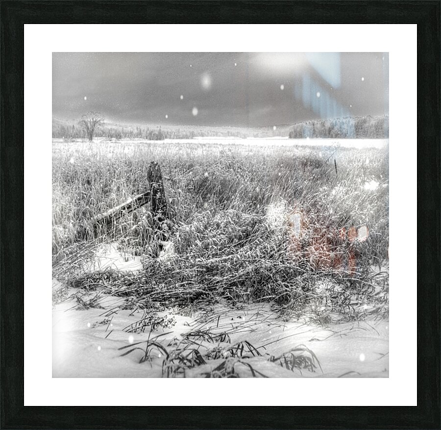 JBS 4080 Picture Frame print