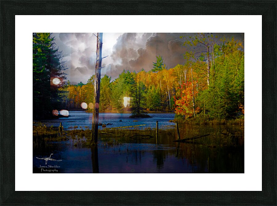  JBS4221 Picture Frame print