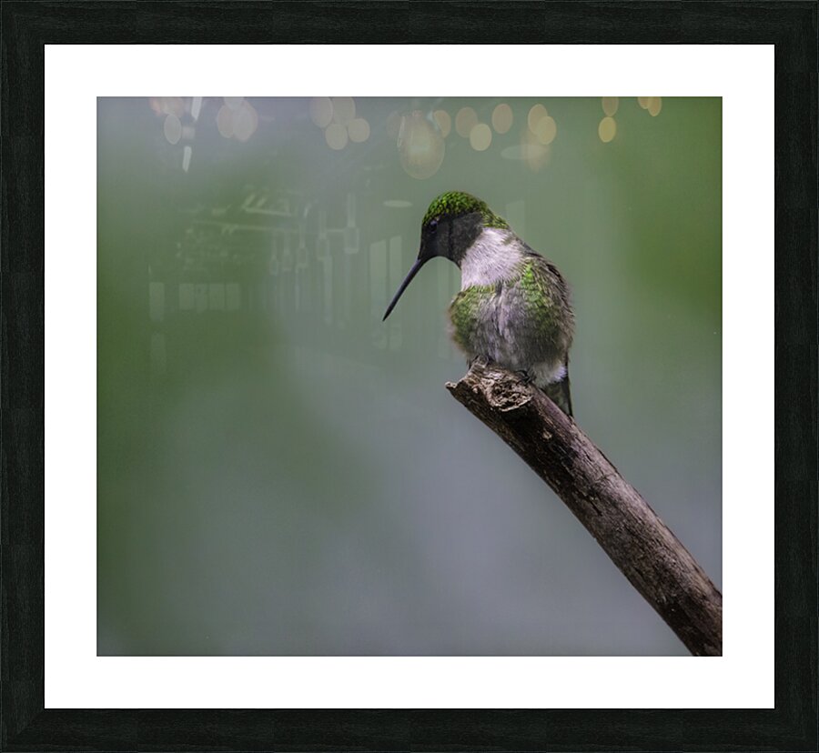 JBS 1233 Picture Frame print