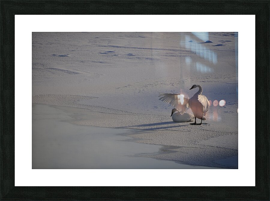 DSC 5806 Picture Frame print