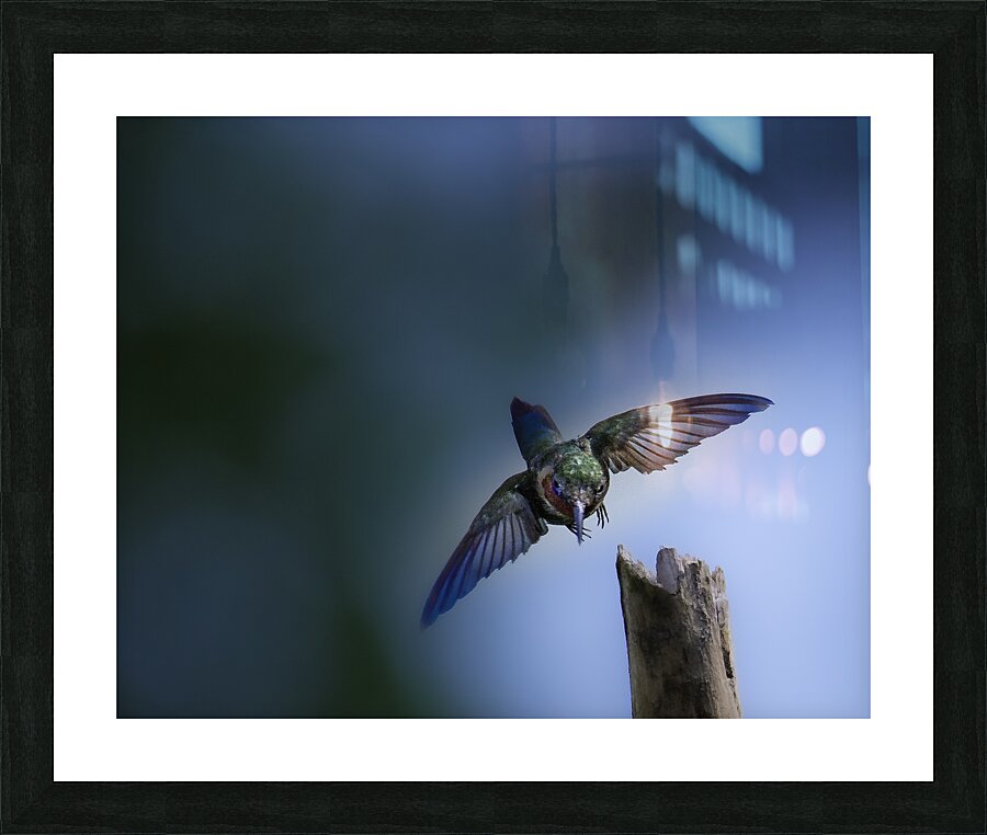 JBS 2832 Picture Frame print