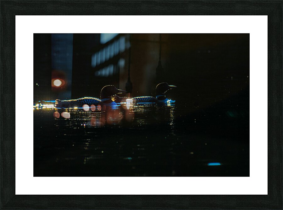 JBS 3176 Impression et Cadre photo