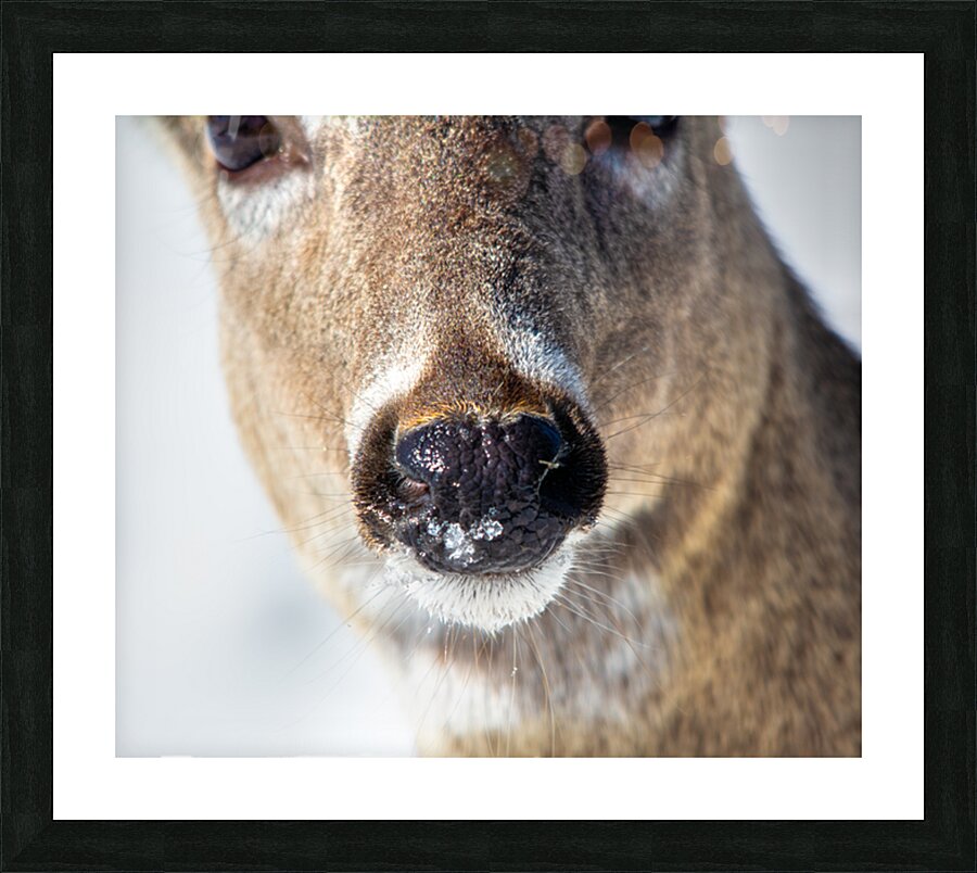 JBS 0540 Impression et Cadre photo