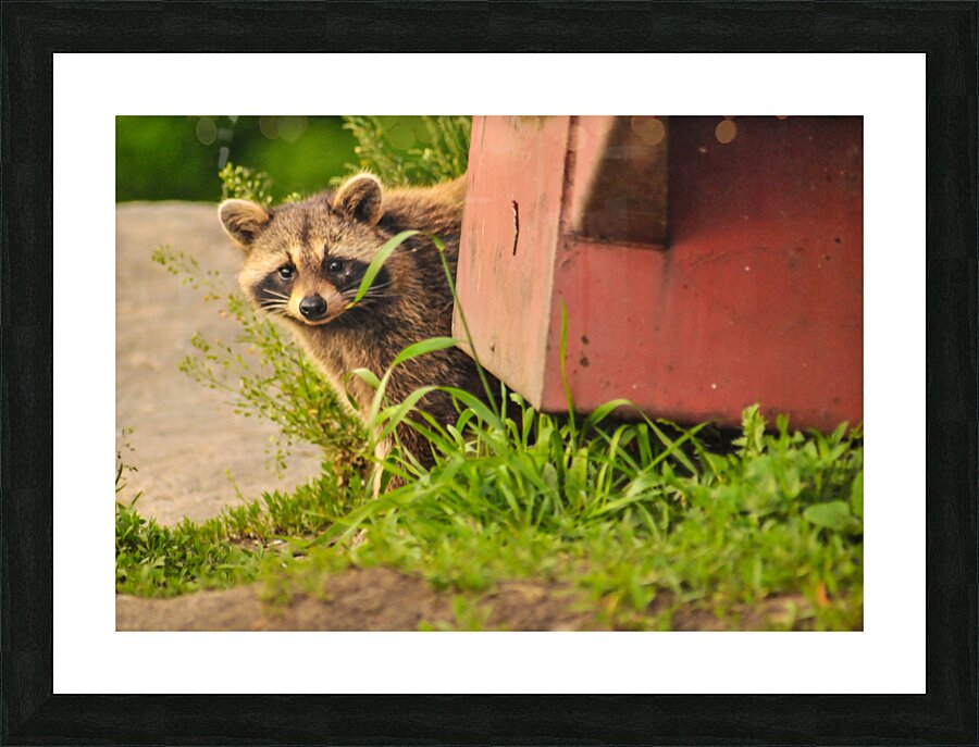 JBS 2864 Picture Frame print