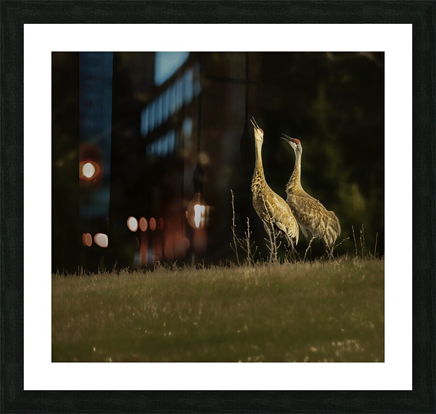 JBS 0918 Impression et Cadre photo