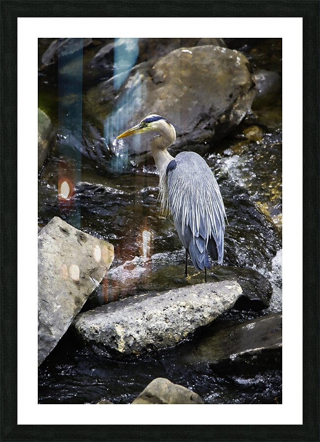 JBS 1574 Picture Frame print