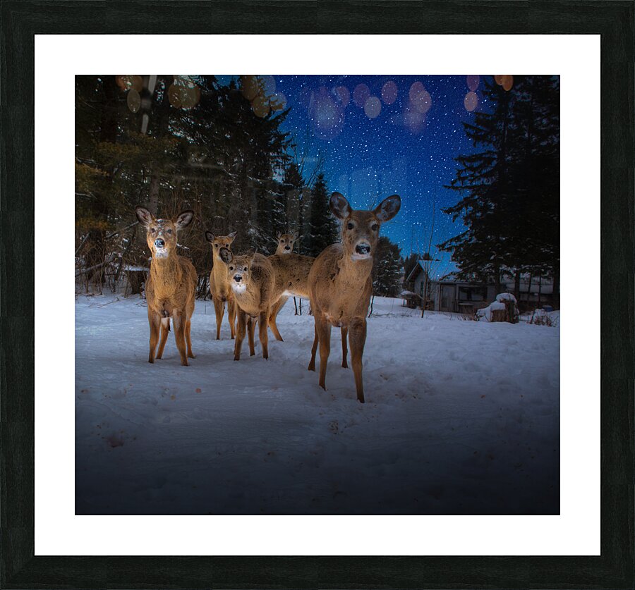 JBS 3174 2  Impression et Cadre photo