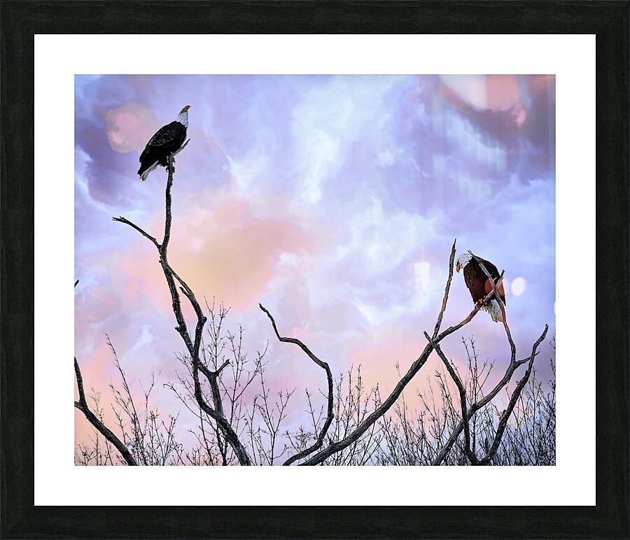 DSC 0357 Picture Frame print