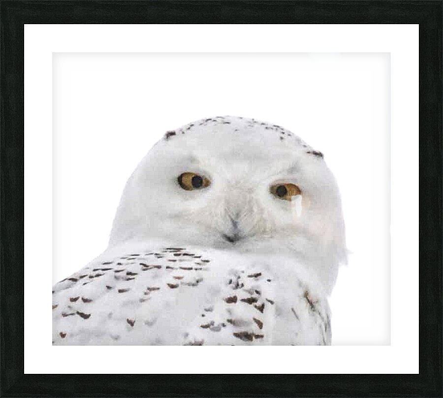 DSC 1876 2 Impression et Cadre photo