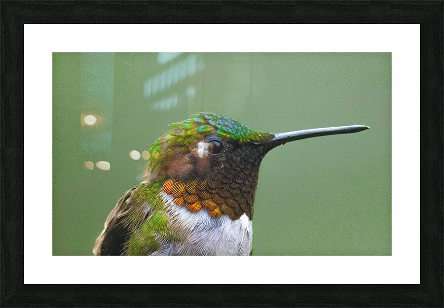 JBS 4152 Impression et Cadre photo