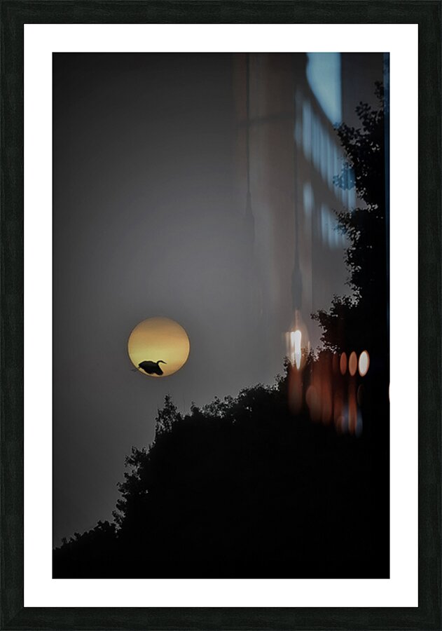 HERON SUNRISE Picture Frame print