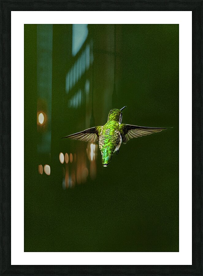 JBS 1467 Picture Frame print