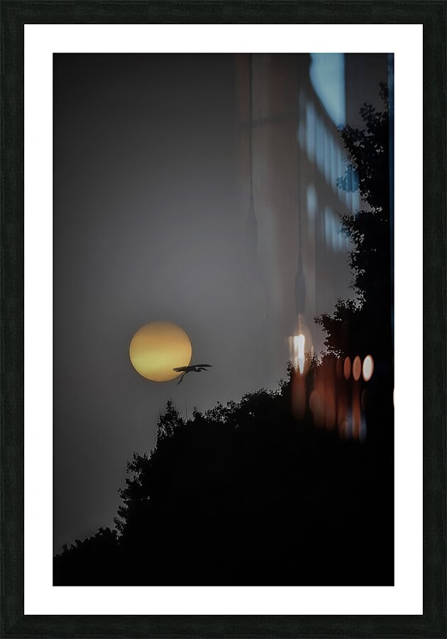 HERON SUNRISE2 Picture Frame print