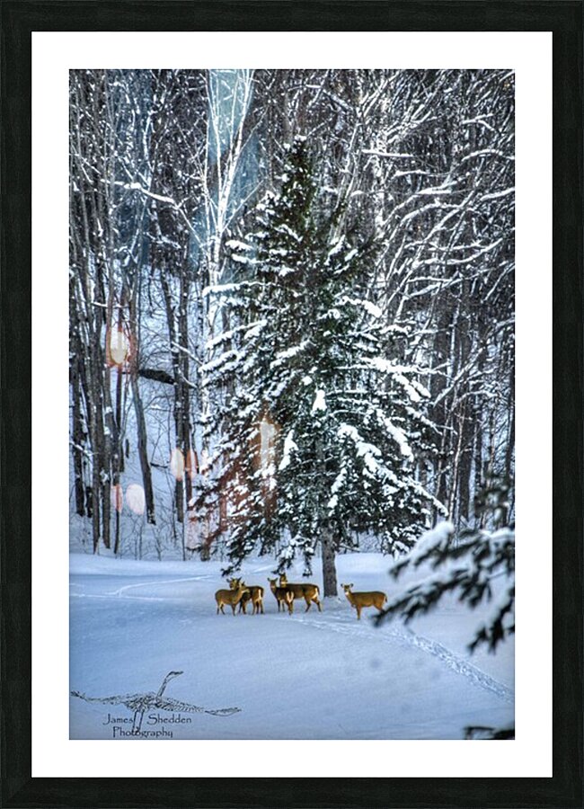 DSC 5638 Impression et Cadre photo