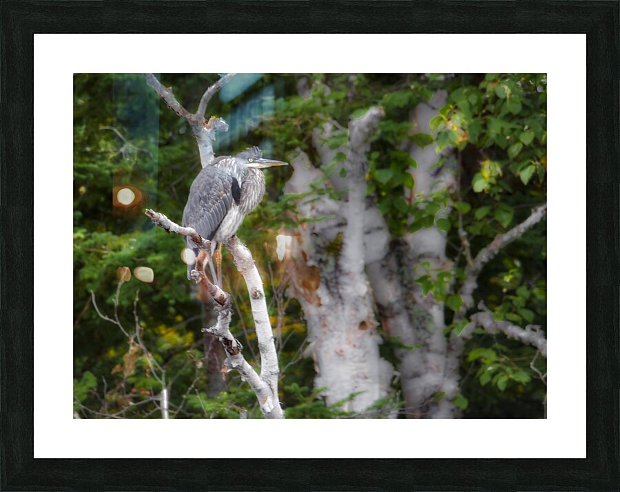 JBS 3060 Impression et Cadre photo