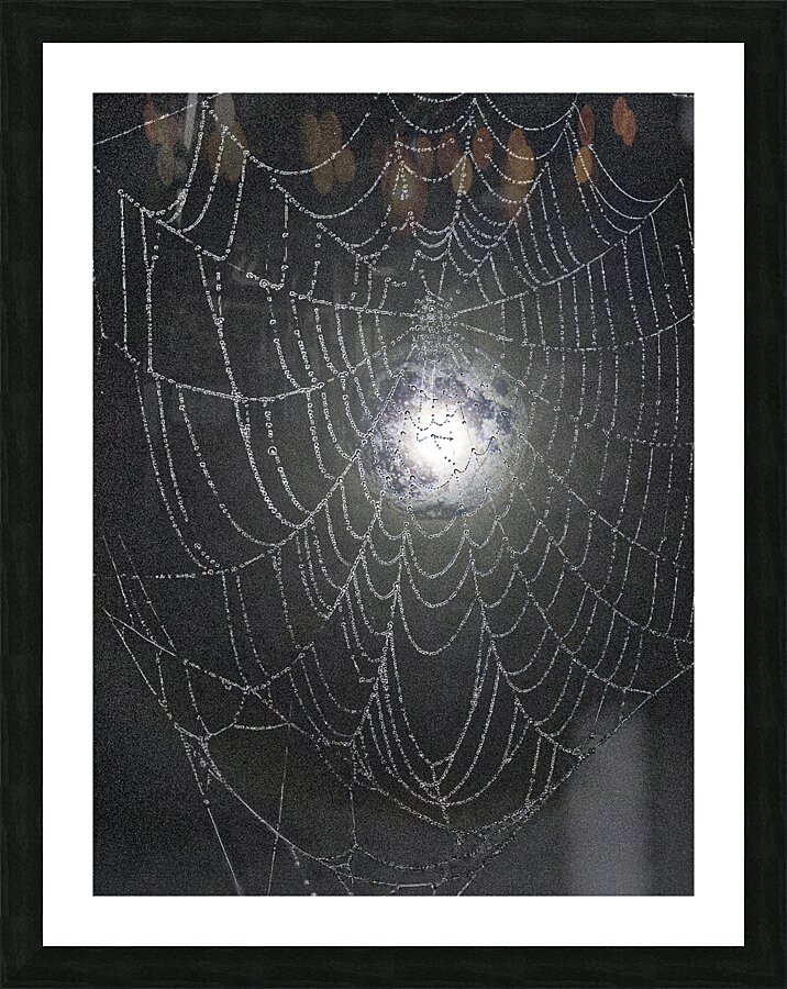 ZJS 8300  Impression et Cadre photo