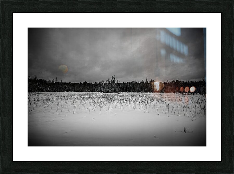 ZJS 9284 2  Picture Frame print