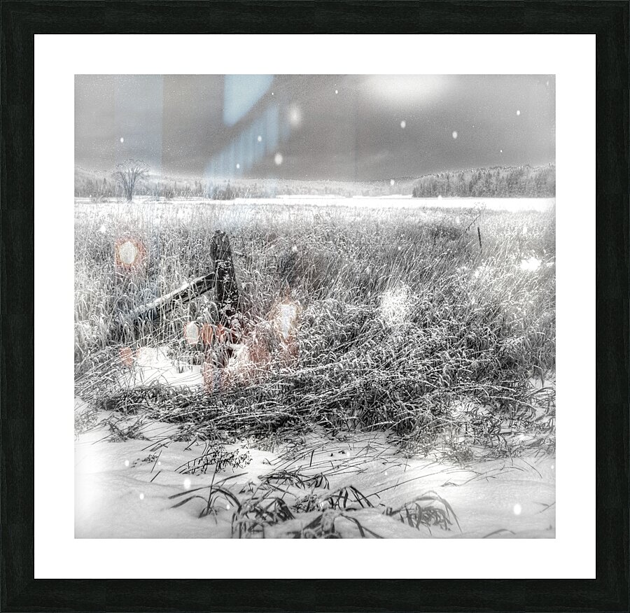 JBS 4080 Picture Frame print