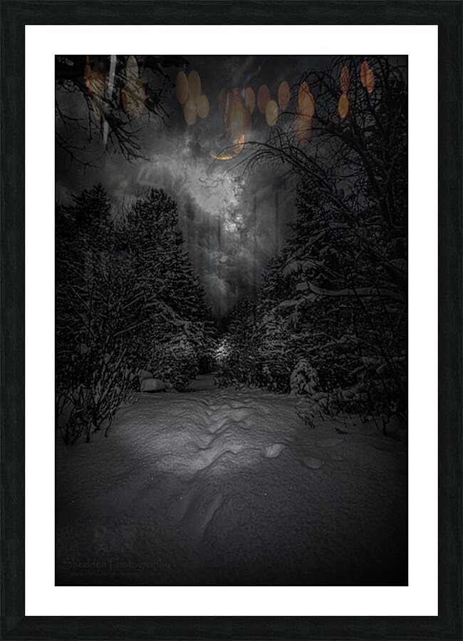 Z62 0237  Picture Frame print