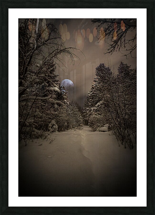 Z62 0235 2  Impression et Cadre photo