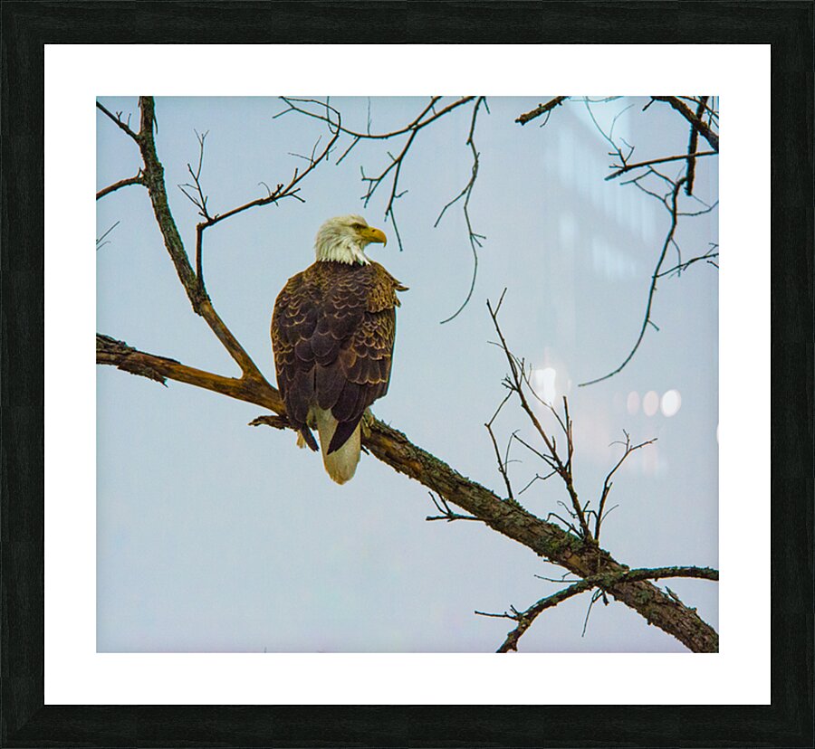 JBS 9645 Impression et Cadre photo