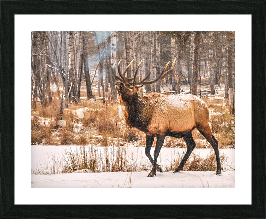 JBS 4996  Picture Frame print