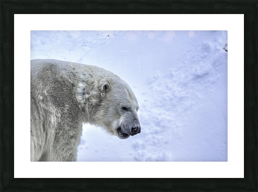 JBS 9247 Picture Frame print