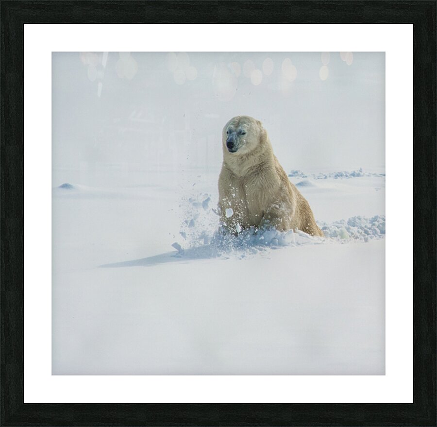 JBS 9346 2 Impression et Cadre photo