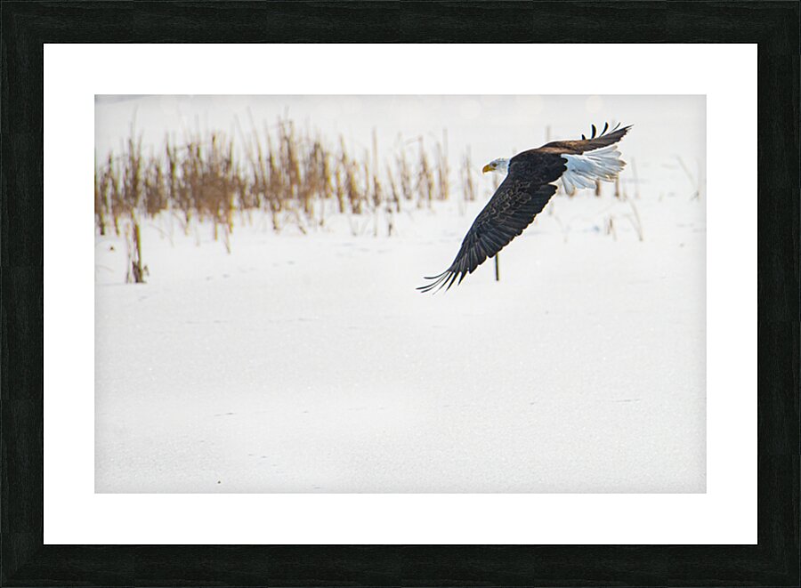 JBS 8846 Impression et Cadre photo