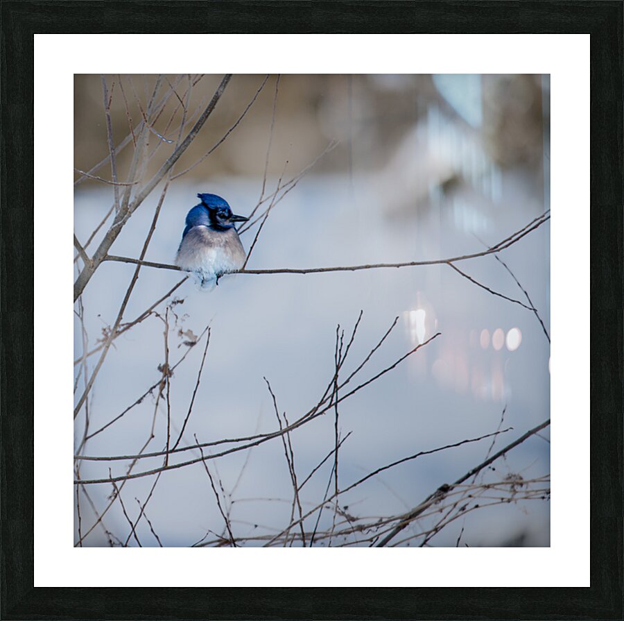 JBS 9522 Picture Frame print