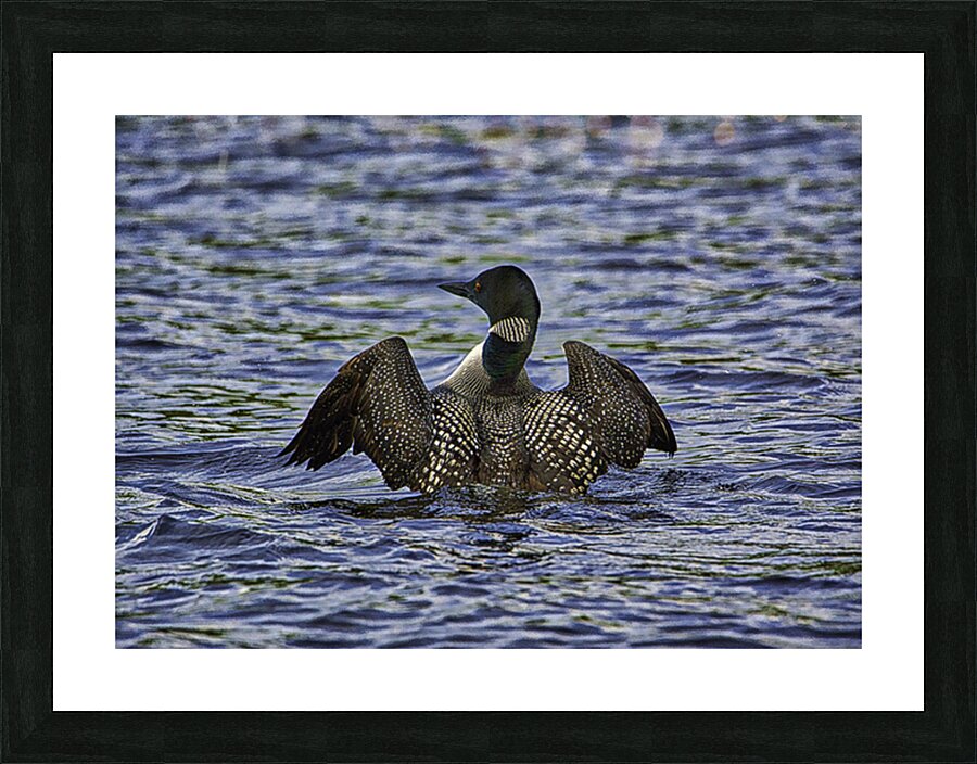 JBS 23862 Impression et Cadre photo