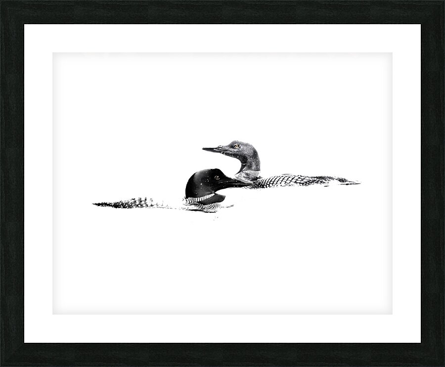loons Impression et Cadre photo