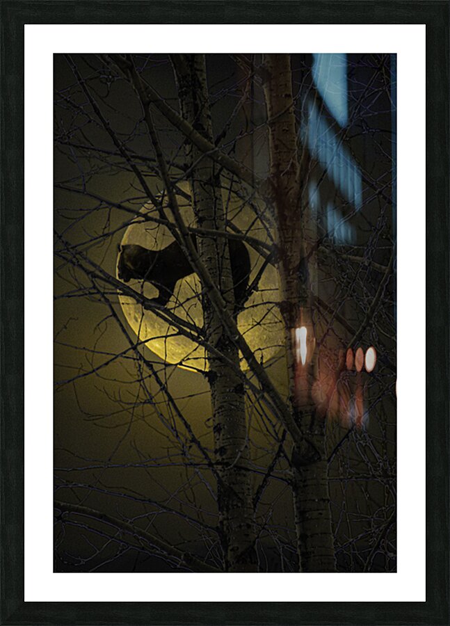 JBS 5294 2 Picture Frame print