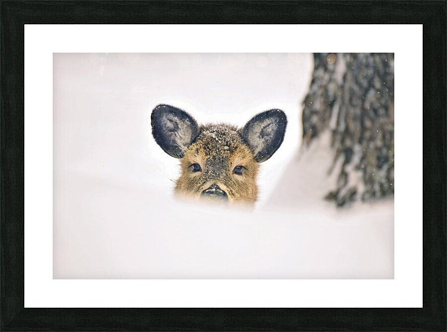 JBS 5691  Impression et Cadre photo