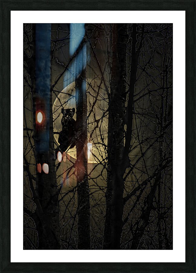 PINE MARTEN2 Impression et Cadre photo