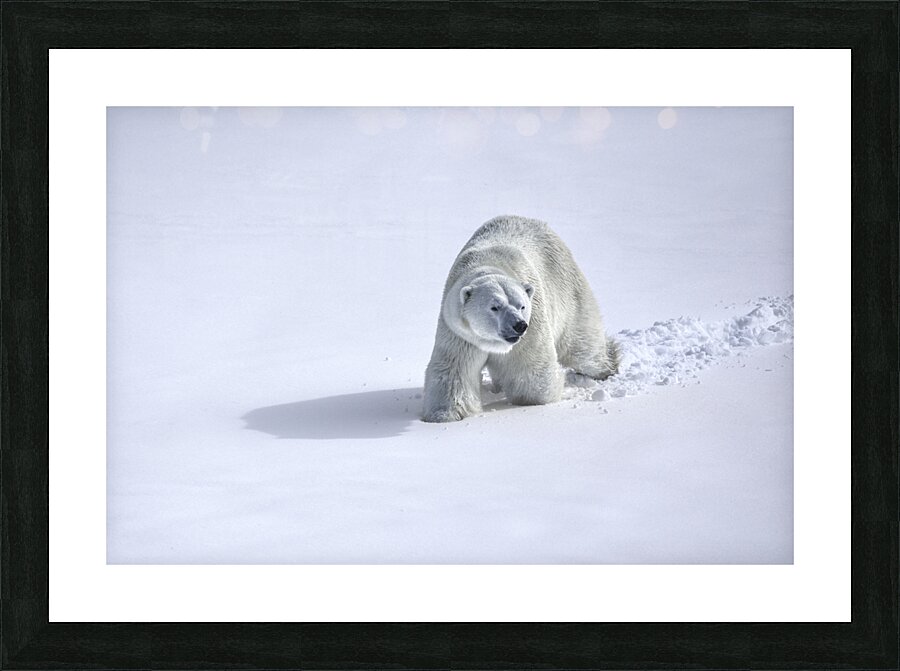 JBS 9366 Impression et Cadre photo