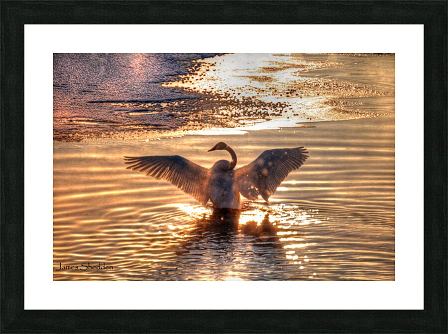 JBS 5877  Impression et Cadre photo