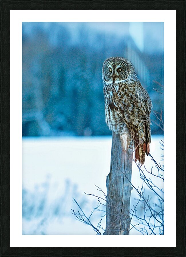 jbs 5420-2 Impression et Cadre photo