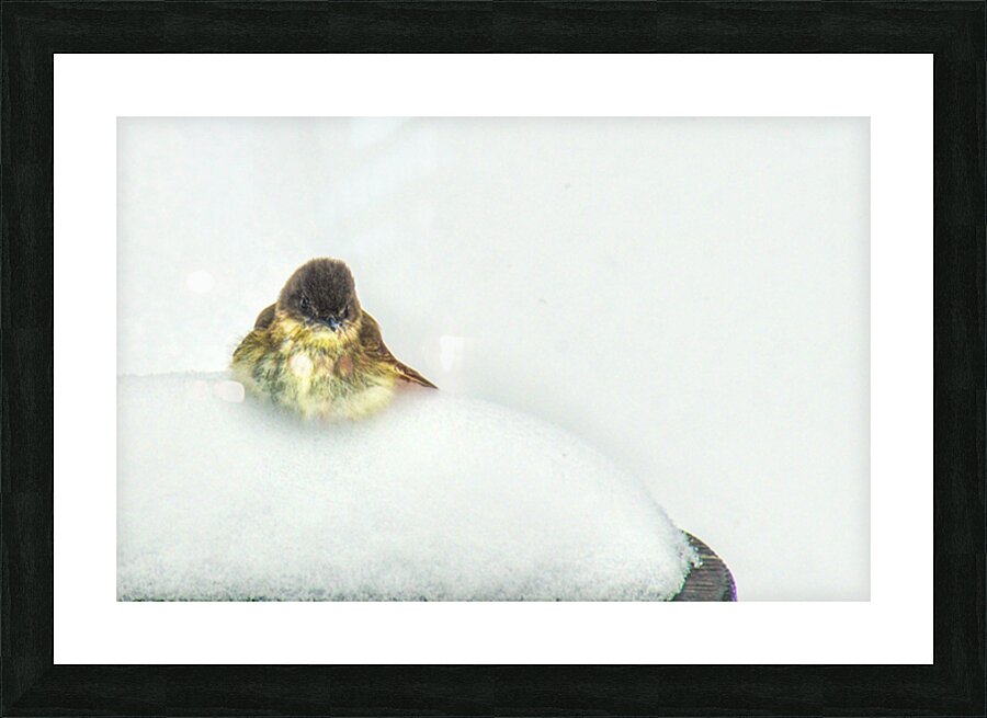 JBS 9269 Impression et Cadre photo