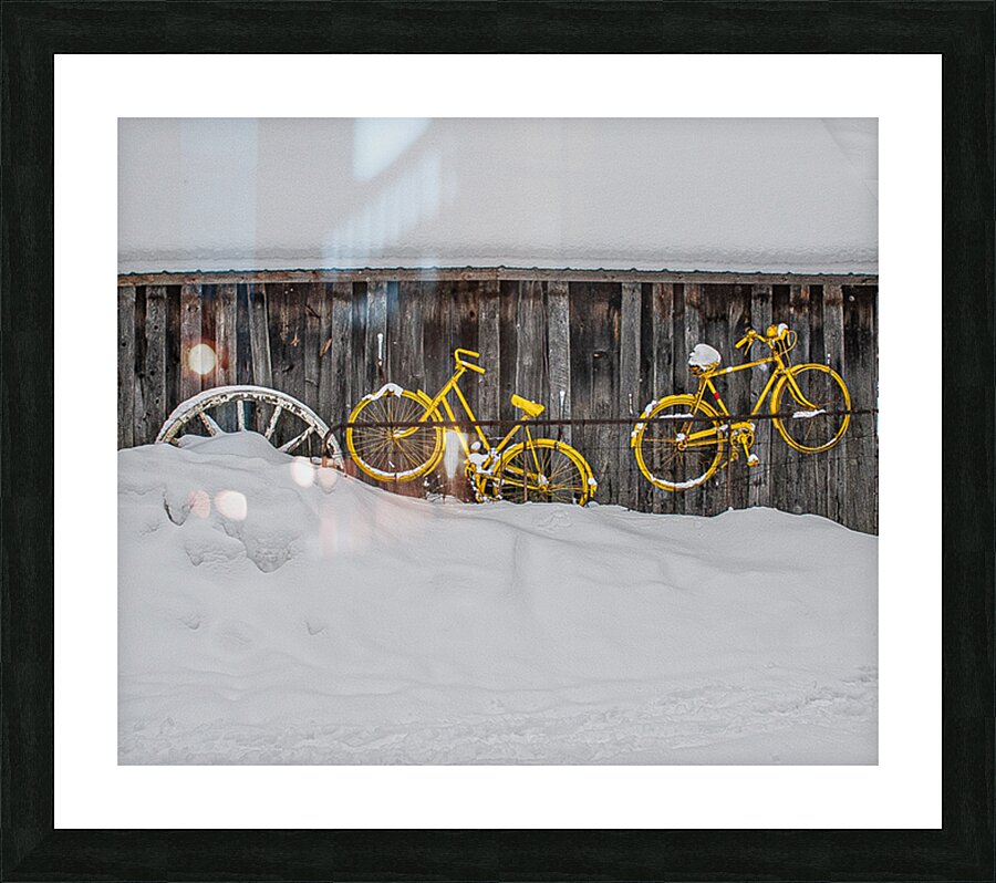 ZJS 9138 Picture Frame print