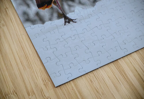 DSC 5553  James Shedden Photography puzzle