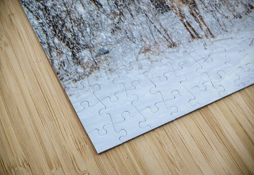 JBS 0383  James Shedden Photography puzzle