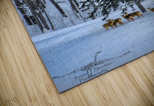 DSC 5638  James Shedden Photography puzzle