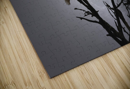 JBS 5291  James Shedden Photography puzzle
