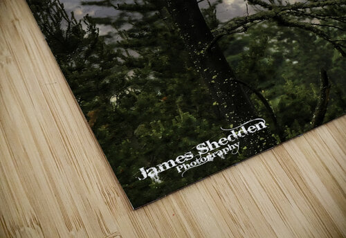 Eagle-Gogama James Shedden Photography puzzle